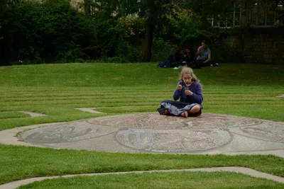 DSC_2567 (Large).JPG